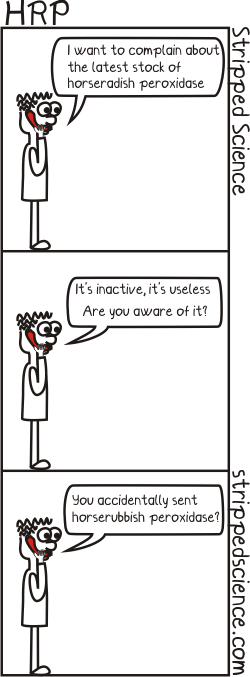 horseradish peroxidase.png